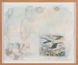 A natural history of slow water Bibbaringa 6 by John Wolseley contemporary artwork drawing painting works on paper