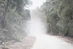 Last day on Christmas Island by Robert Zhao Renhui contemporary artwork Photography