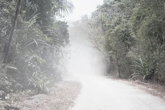 Last day on Christmas Island by Robert Zhao Renhui contemporary artwork Photography