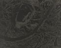 Untitled Head Among Twigs by Lionel Wendt contemporary artwork Photography