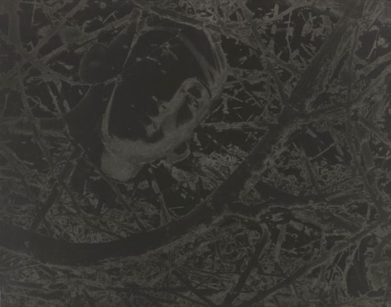 Untitled Head Among Twigs by Lionel Wendt contemporary artwork Photography