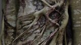 At the edge of the forest by Nicolas Tourte contemporary artwork moving image