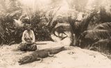 Singapore Crocodile 1930s series by Robert Zhao Renhui contemporary artwork photography print