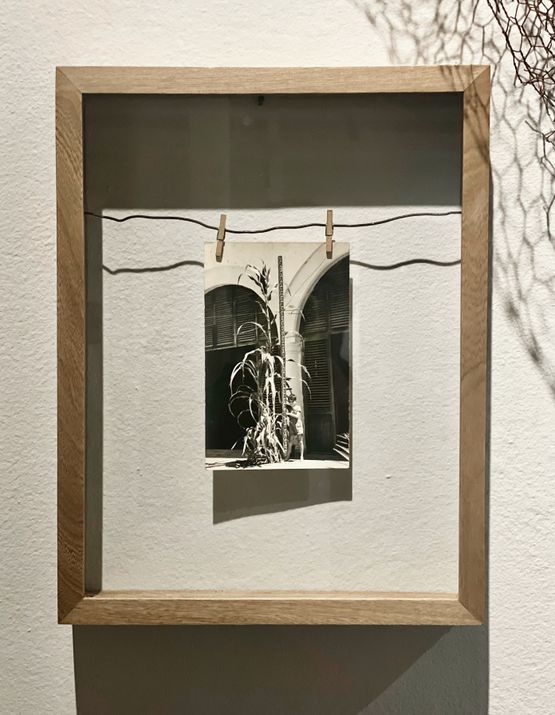 Machines and gods corn by Larry Munoz contemporary artwork Sculpture