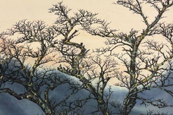 Frank Kai-yiu Tang contemporary artist