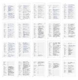 Spring Story script  by Yang Zhenzhong contemporary artwork works on paper