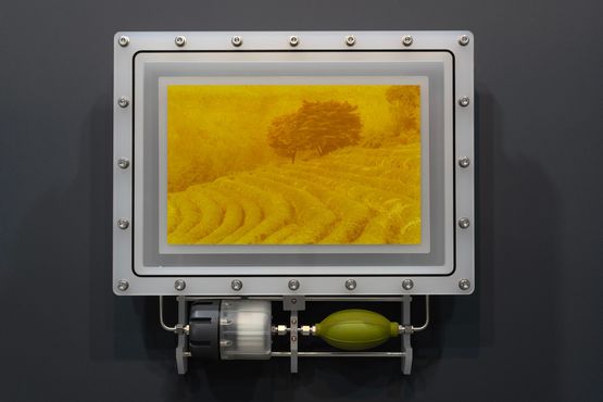 is of Boseong Green Tea Field 2025-3 by Beak Jungki contemporary artwork Print