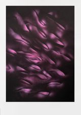 Ribbons by William Mackrell contemporary artwork painting works on paper