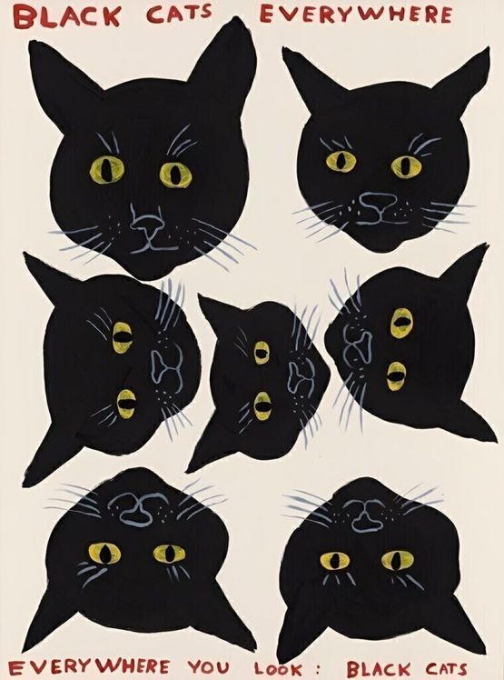 Black Cats Everywhere by David Shrigley contemporary artwork Print