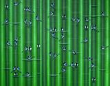 Plan B g by Haiyun Jung contemporary artwork painting