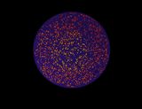 Nucleus Sphere 2 by Cristopher Cichocki contemporary artwork painting