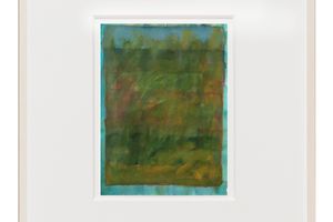 Ilse DHollander