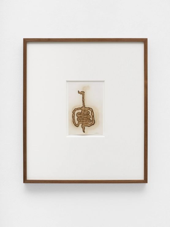 Untitled Henna drawing 5 by Mona Hatoum contemporary artwork Painting