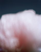 Sky over Columbus 2020 described by Shawn Lowe by Conor Clarke contemporary artwork photography