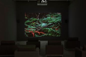 Contemporary art exhibition Lothar Baumgarten The Early Years at Marian Goodman Gallery New York United States
