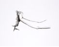 o.T. by Ulrike Lienbacher contemporary artwork Painting