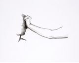 o.T. by Ulrike Lienbacher contemporary artwork drawing painting works on paper