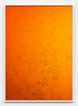 Untitled by Adam Fuss contemporary artwork photography