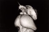 Untitled from Erotos by Nobuyoshi Araki contemporary artwork photography