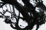 Lee Houk contemporary artist