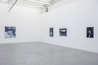 Contemporary art exhibition Mircea Suciu Hotel Empathy at Zeno X Gallery Antwerp Belgium