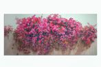 Oaxaca Wall III by Ayane Mikagi contemporary artwork Works on Paper