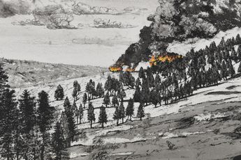 Nikhil Chopra contemporary artist