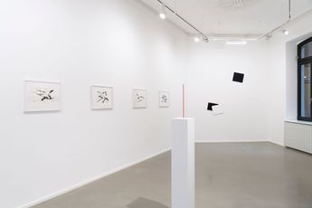 Contemporary art exhibition Lutz Fritsch Antarctica  20 Jahre Bibliothek im Eis at Galerie Christian Lethert Cologne Germany