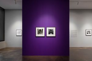 Robert Mapplethorpe