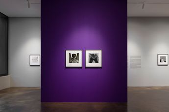 Contemporary art exhibition Robert Mapplethorpe Robert Mapplethorpe More Life at Kukje Gallery K2 Seoul and Busan