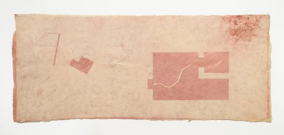 Territories for worms by Antonio Dias contemporary artwork Works on Paper
