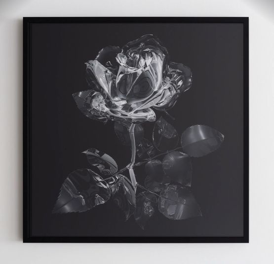 Glass Rose by Hye Rim Lee contemporary artwork Photography