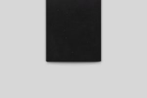 Jorge Mendez Blake