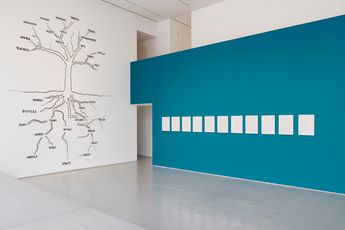 Contemporary art exhibition David Byrne How I Learned About Non-Rational Logic at Pace Gallery 540 West 25th Street New York United States