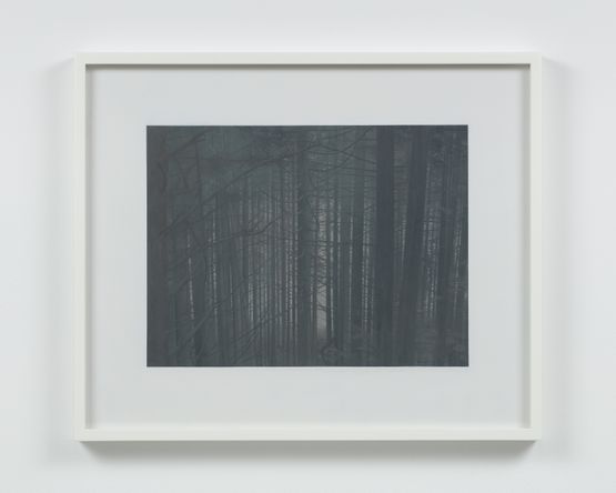 Through the Trees Loch Ness by Andrew Grassie contemporary artwork Painting
