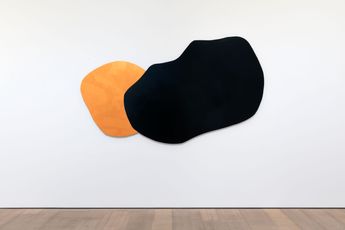 Imi Knoebel contemporary artist
