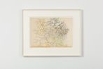 Untitled Elderflower by Stefan Bertalan contemporary artwork Works on Paper
