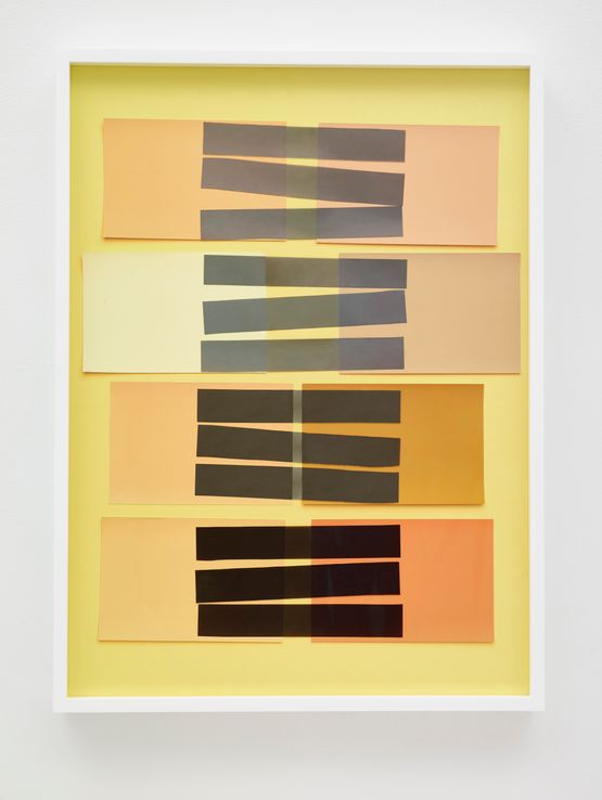 Handmade Interaction of Color 24 Rectangles Black Stripes by Vik Muniz contemporary artwork Mixed Media