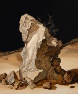 Wilderness 08 by Li Donglu contemporary artwork painting
