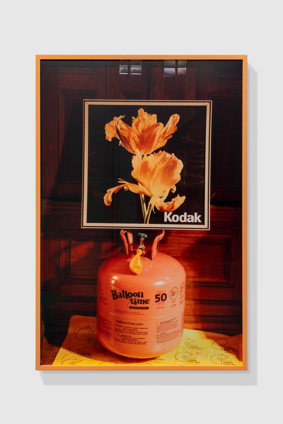 Balloon Time with Kodak Tulips by Roe Ethridge contemporary artwork Photography