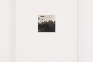Robert Adams