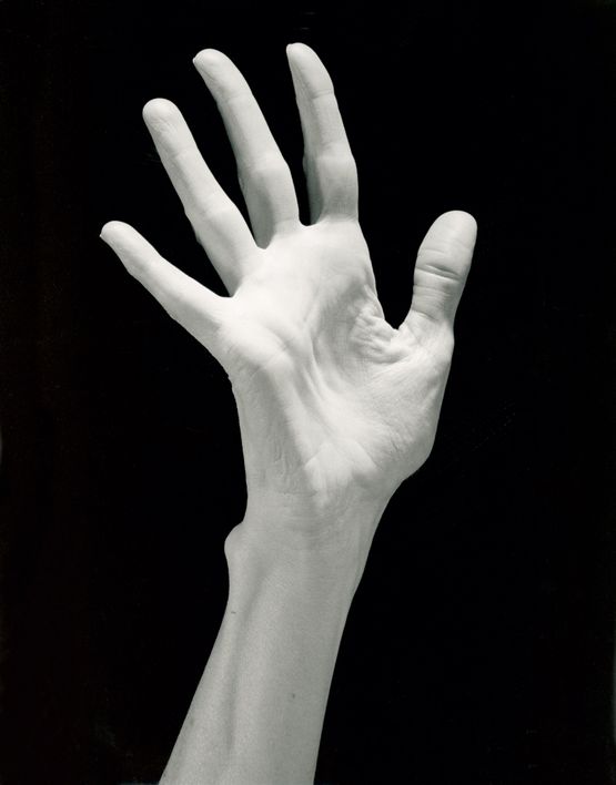 Lucindas Hand by Robert Mapplethorpe contemporary artwork Photography