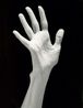 Lucindas Hand by Robert Mapplethorpe contemporary artwork Photography