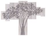 Perimetros Acacia by Johanna Calle contemporary artwork works on paper