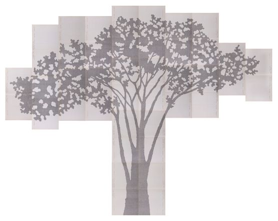 Perimetros Acacia by Johanna Calle contemporary artwork Works on Paper
