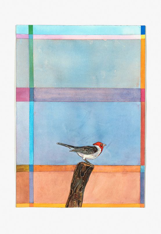 Cabeca Vermelha pouso by Efrain Almeida contemporary artwork Painting