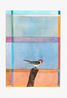 Cabeca Vermelha pouso by Efrain Almeida contemporary artwork Painting