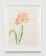 Untitled WC.263 Clivia by Ruth Asawa contemporary artwork works on paper