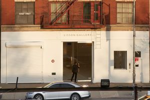 Lisson Gallery contemporary art gallery in 10th Avenue New York United States