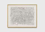 Desenho organizado como um organismo by Milton Machado contemporary artwork drawing